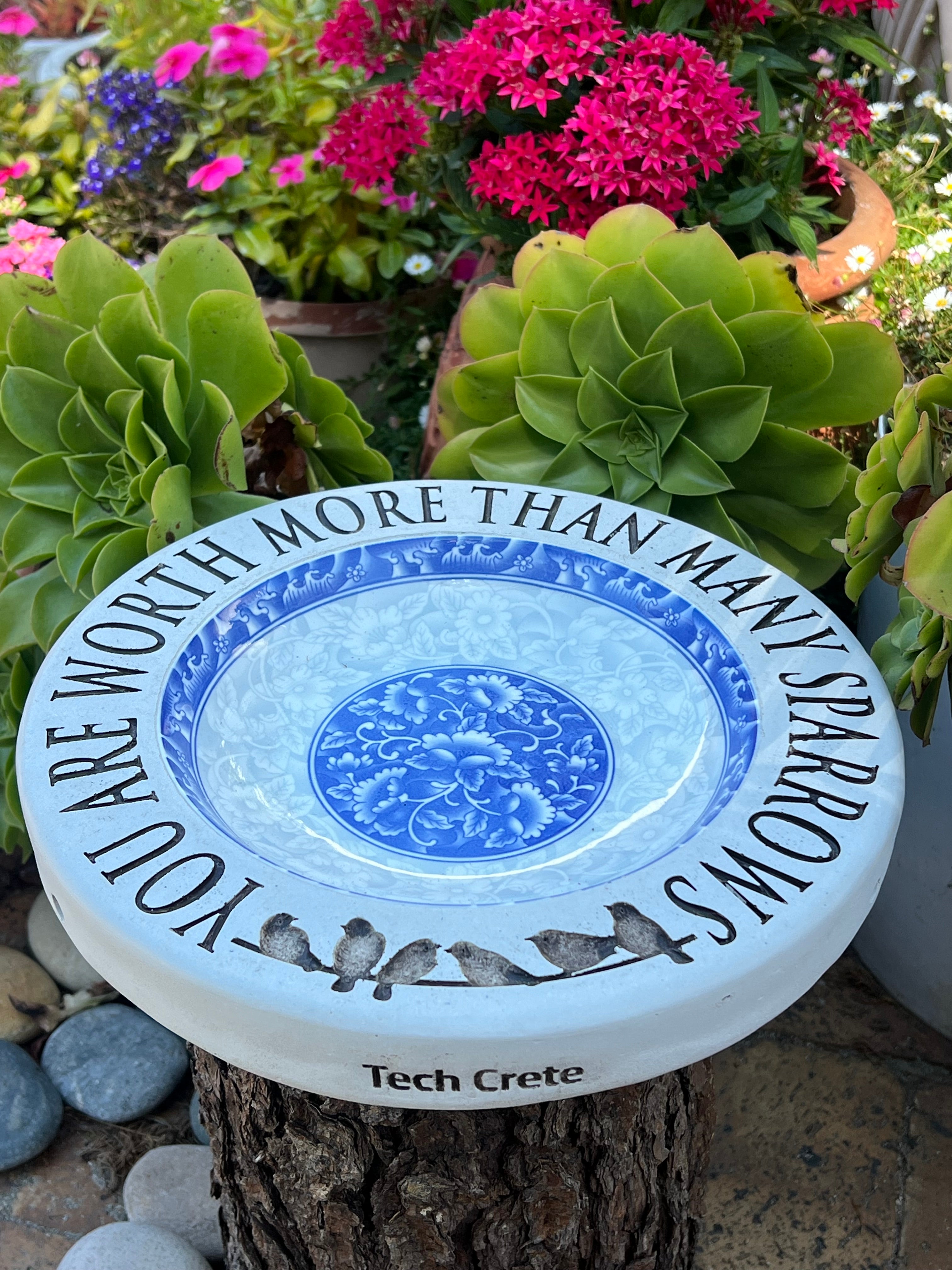 Birdbaths with a Difference!