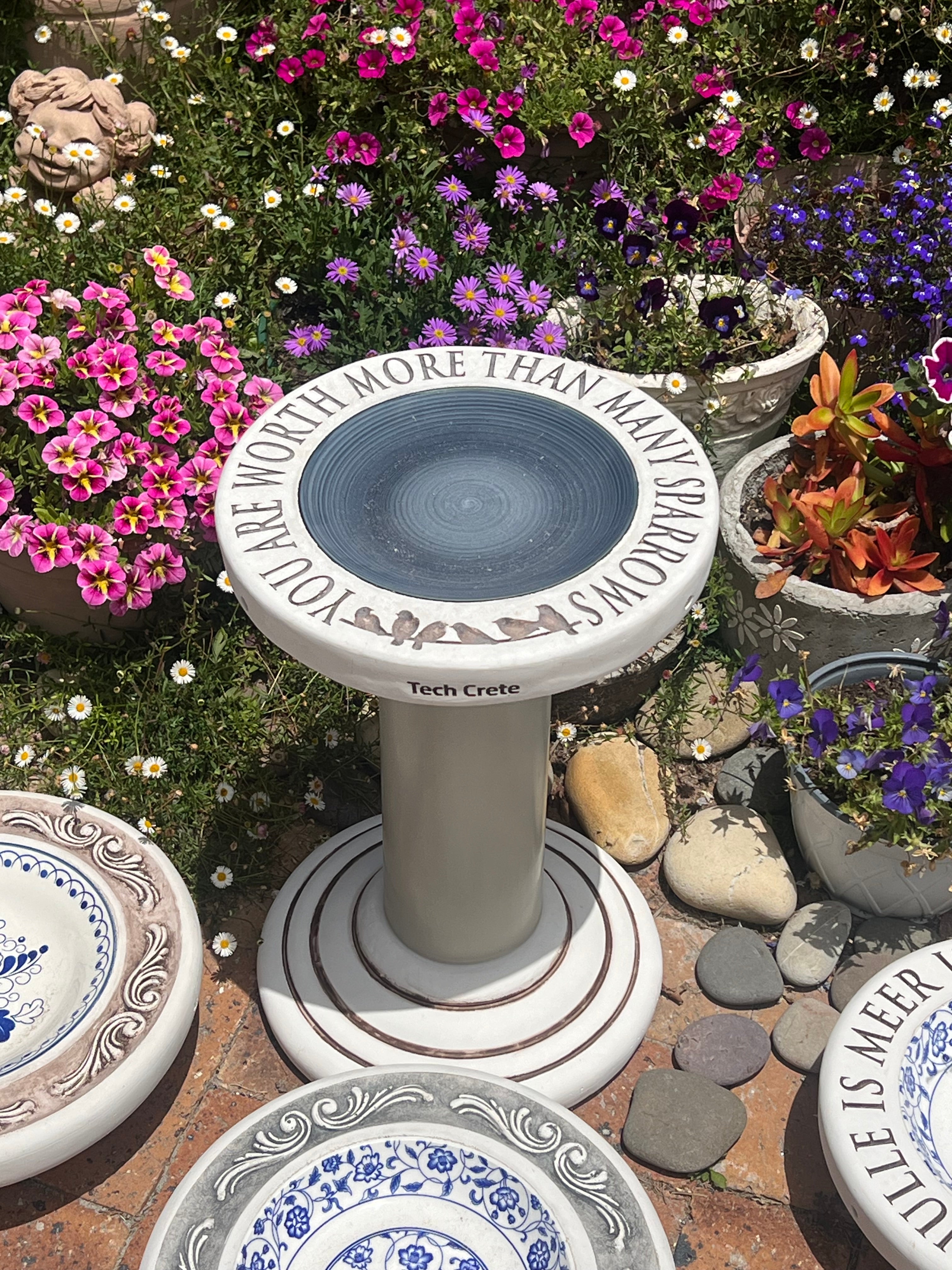 Birdbaths with a Difference!
