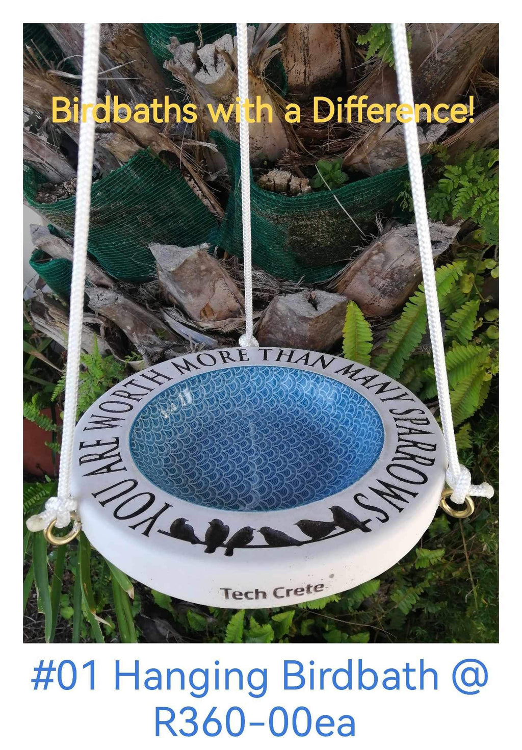 Birdbaths with a Difference!