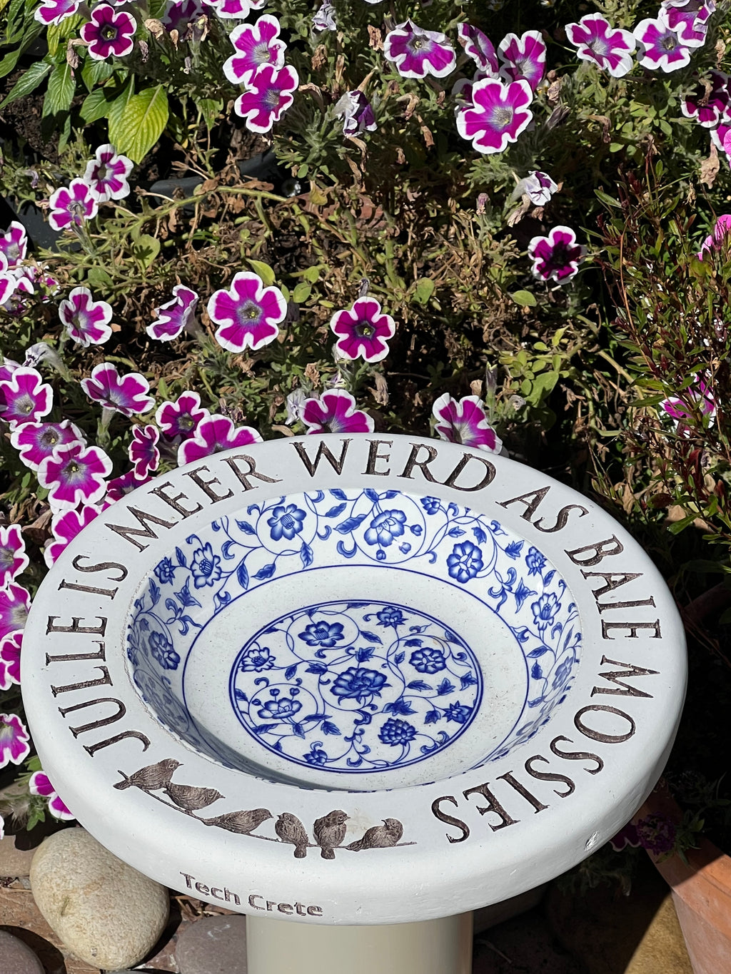 Birdbaths with a Difference!