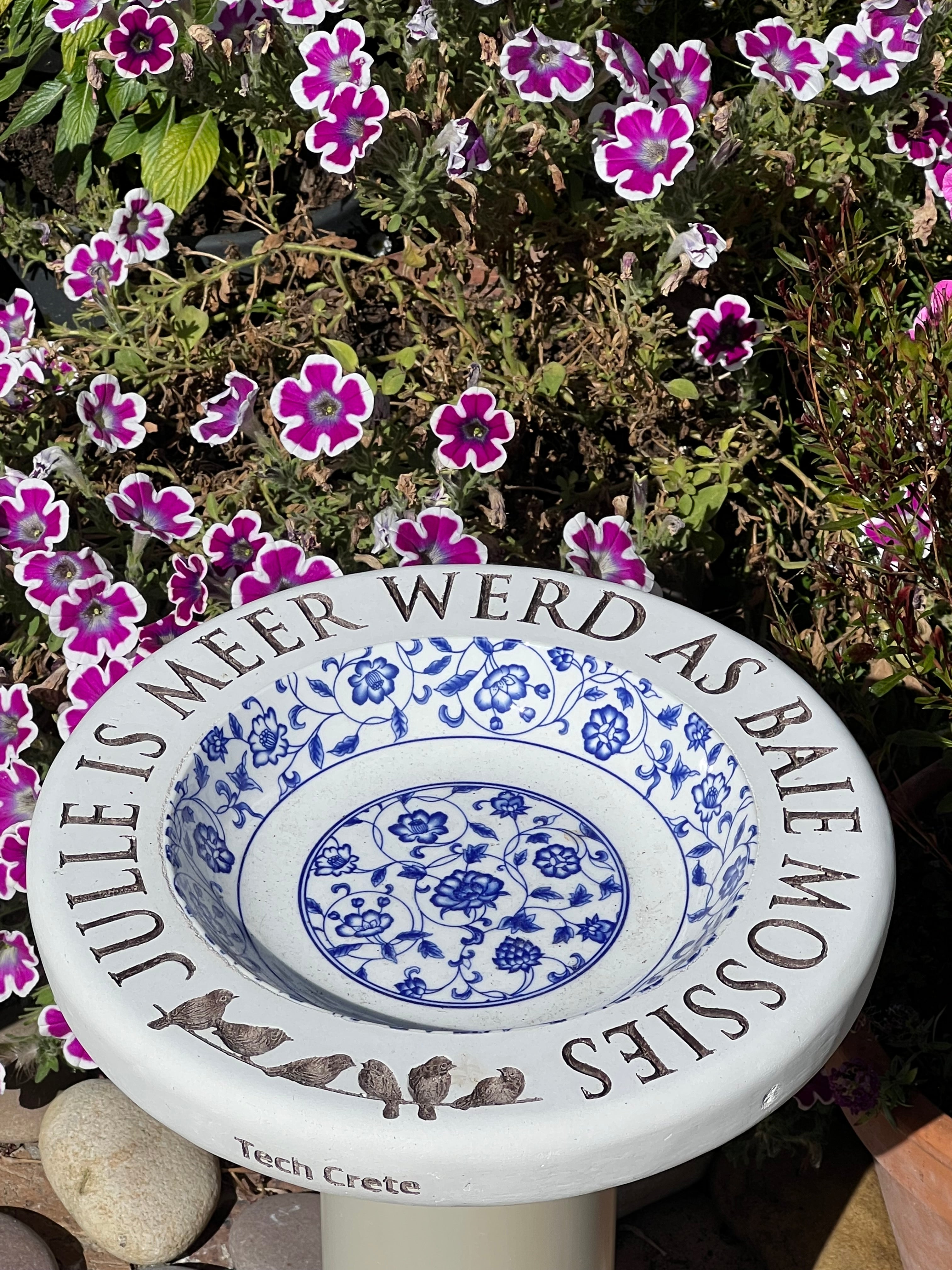 Birdbaths with a Difference!