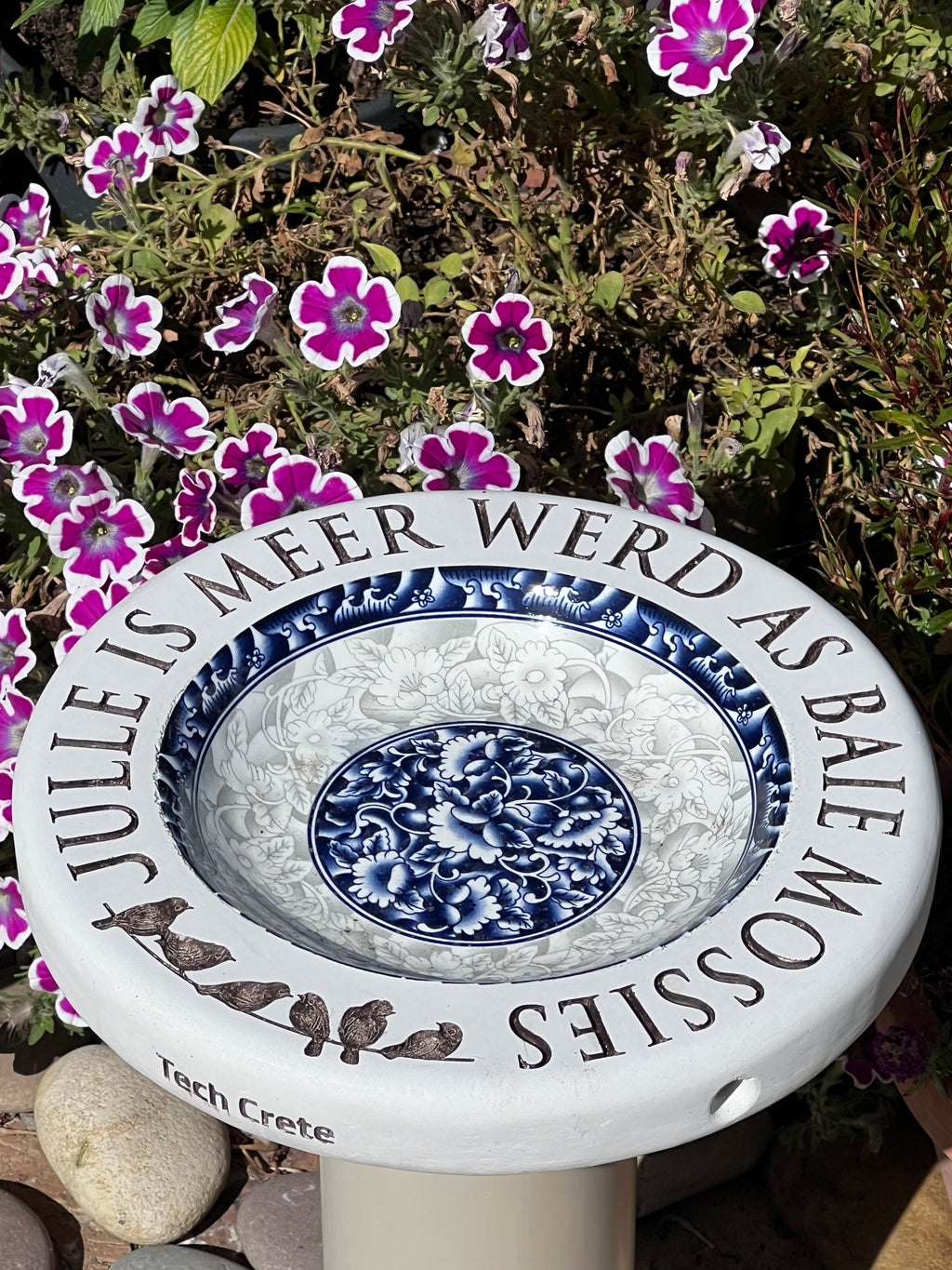 Birdbaths with a Difference!