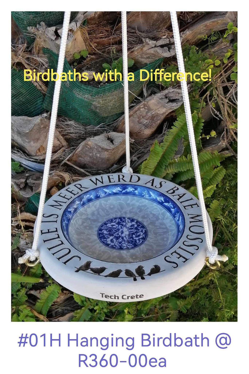 Birdbaths with a Difference!