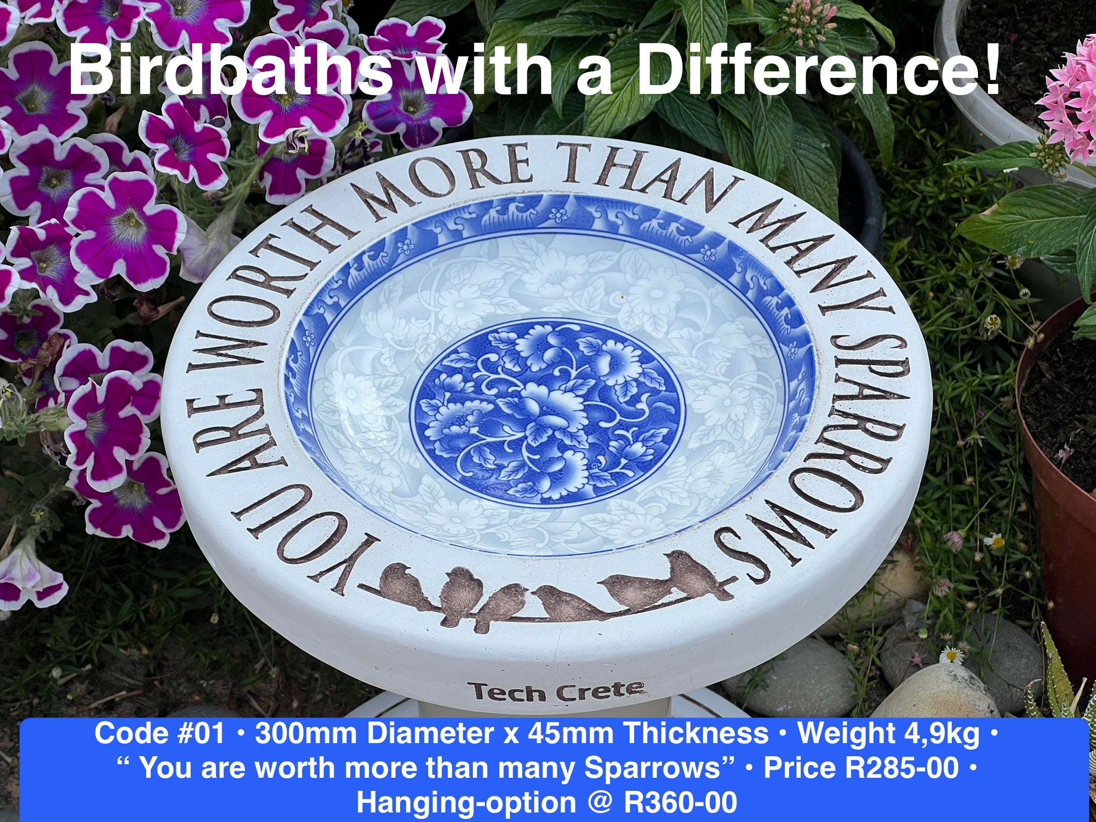 Birdbaths with a Difference!