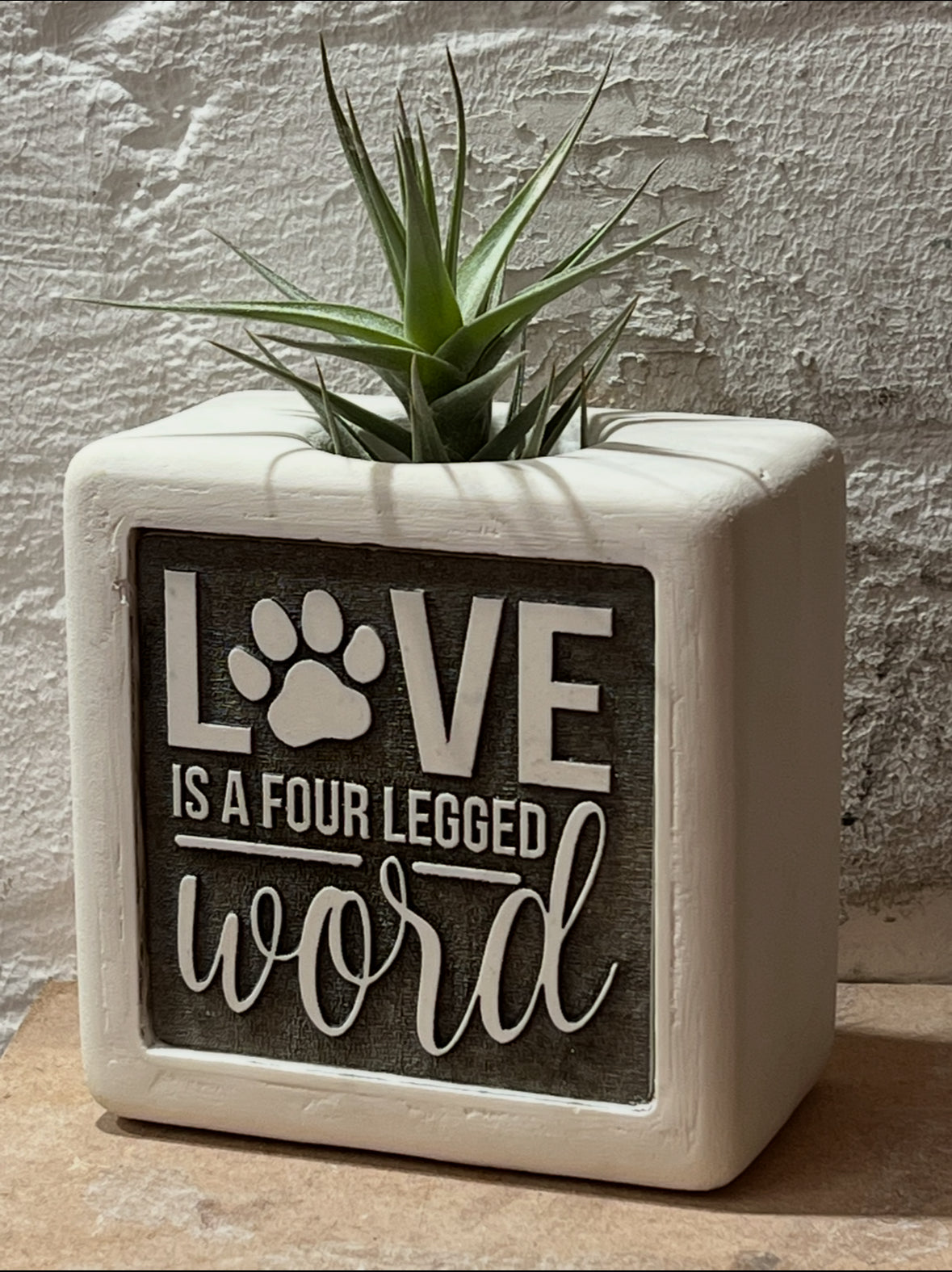 Pawsome Pot (Four Legged Word Edition)