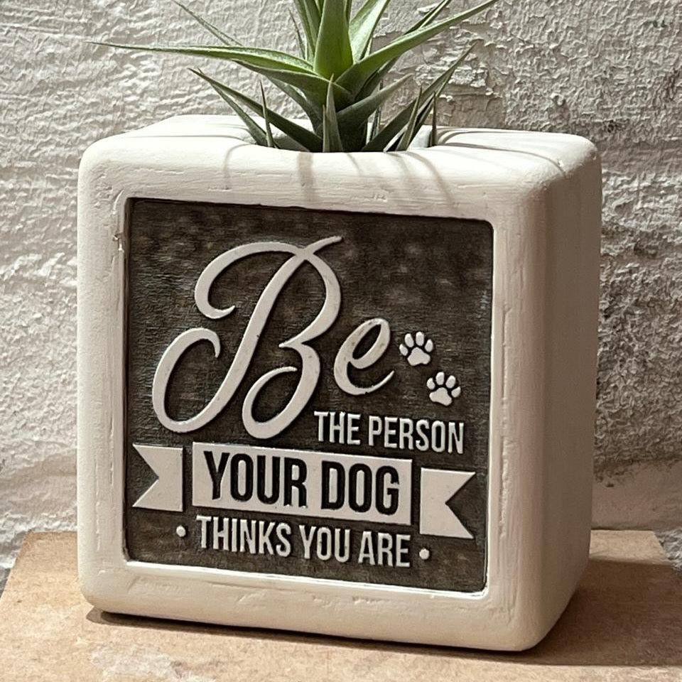 Pawsome Pot (Be The Person Edition)